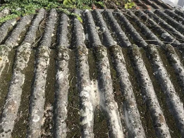 Toiture qui goutte Arbis – Rénovation 33